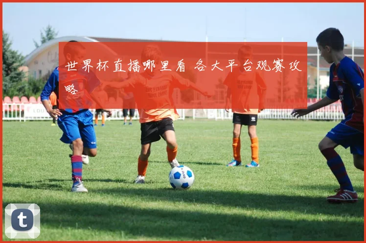 世界杯直播哪里看 各大平台观赛攻略