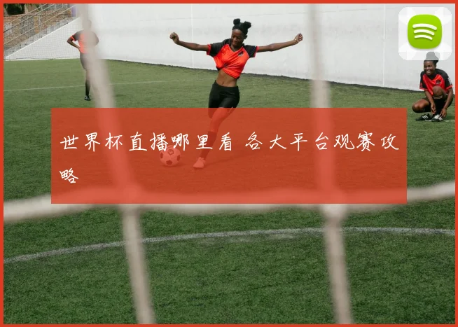 世界杯直播哪里看 各大平台观赛攻略