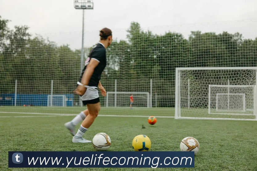 世界杯开户平台平台生态图