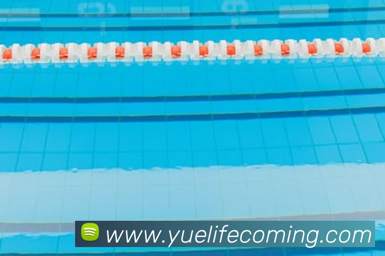 世界杯开户平台APP 封面图